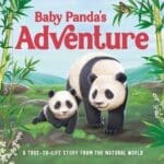 BABY PANDA S ADVENTURE