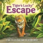 TIGER S LUCKY ESCAPE