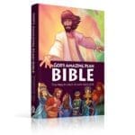 GOD S AMAZING PLAN BIBLE