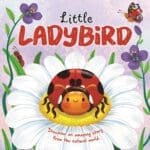 LITTLE LADYBIRD